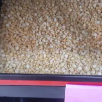 انواع برنج ایرانی .پاکستانی و حبوبات درجه یک هل