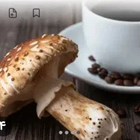 فقط یک فنجان/انتخابی برای سبک زندگی سالم تر
