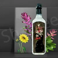 خدمات طراحی گرافیست