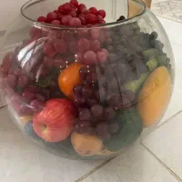 حباب|گل و گیاه طبیعی|شیراز, میانرود|دیوار