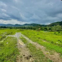 زمین جنگلی/چسب رودخانه و جنگل