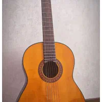 گیتار یاماها C70