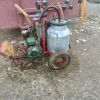 شیر دوش گاوی