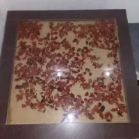 میز جلو مبلی درحد نو