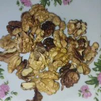 گردو فروش|خوردنی و آشامیدنی|جوانرود, |دیوار