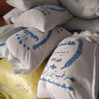 برنج هاشمی گیلان