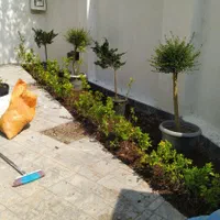 کار باغبانی چمن زنی با دستگاه آرایش کردن با دستگاه