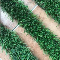 چمن بریده شده برای باغ ویلا