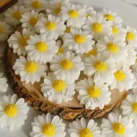 عقد و عروسی و نامزدی و گیفت فارغ‌التحصیلی و|خدمات پذیرایی، مراسم|زاهدان, |دیوار