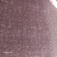 موکت|موکت|سلماس, |دیوار