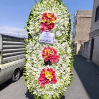 تاج گل|گل و گیاه طبیعی|تهران, نازی‌آباد|دیوار