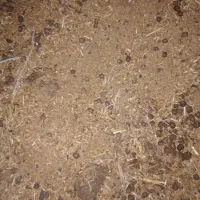 کود تمیز