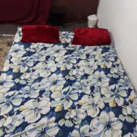 اجاره داخل شهر سویت ویلایی نصف روز هفتگی|اجارهٔ کوتاه‌مدت آپارتمان و سوئیت|رشت, دباغیان|دیوار