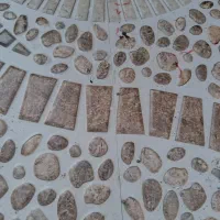 نقاش ساختمان کاشی کاری|خدمات پیشه و مهارت|چالوس, |دیوار