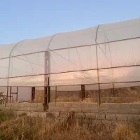 اجاره سوله صنعتی ۳۳۰ متری و گلخانه ۶۰ متری|اجارهٔ دفتر صنعتی، کشاورزی، تجاری|خلخال, |دیوار