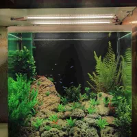 آکواریوم ماهی شیشه خم خمیده