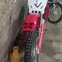 تریل جی وای مزایده