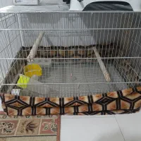 اتاری کرسی اسنک قلیان قفس|کنسول، بازی ویدئویی و آنلاین|برخوار, |دیوار