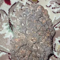 شهاب سنگ|جواهرات|اصفهان, سرشبادران|دیوار
