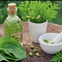 عاشقان طب سنتی