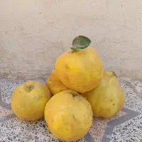 فروش میوه به درجه یک|عمدهفروشی|سپیدان, |دیوار