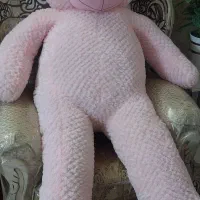 خرس بزرگ صورتی