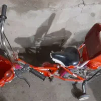 دوچرخه|دوچرخه، اسکیت، اسکوتر|بیجار, |دیوار