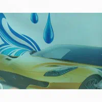 استخدام نیرو کارواش