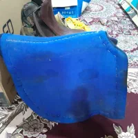 زین اسب|اسب و تجهیزات اسب‌سواری|چابکسر, |دیوار