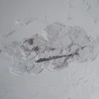 گچ کاری و لکه گیری با بهترین کیفیت|خدمات پیشه و مهارت|موگوئی, |دیوار