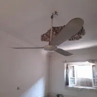 پنکه سقفی معاوضه با برنج