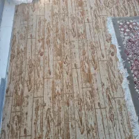 قالی  و موکت .دوازده متری هر دو تمیز