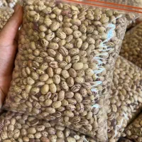 لوبیا چیتی به صورت بسته بندی