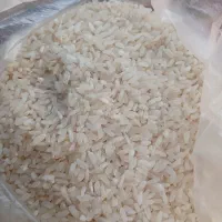 برنج کامفیروزی بشرط پخت