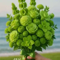 درخواست مشاور فعال  محدوده دوکوهک