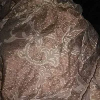 پارچه چادر پرده|پرده، رانر، رومیزی|تهران, گمرک|دیوار