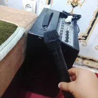 اکو میکروفون