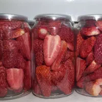 بستنی و میوه خشک