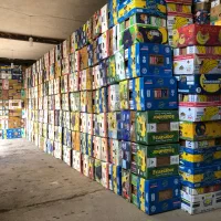 کارتن موزی یا موز