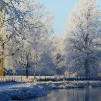 بلیط استخر زمزم