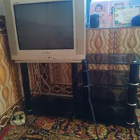 تلویزیون
