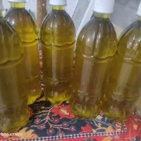 روغن زیتون طارم یک تازه|حراج|مشکین‌دشت, |دیوار