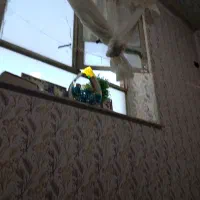 فروش آپارتمان