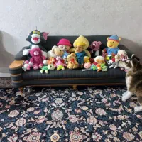 تعدادی عروسک در حد نو  ایرانی و خارجی.