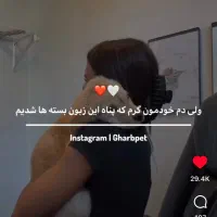 سگ پیدا شده
