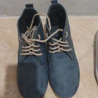 کفش|کیف، کفش، کمربند|فولادشهر, C5|دیوار