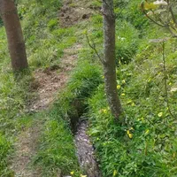 باغ 1000 متری مشجر لب رودخانه