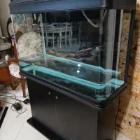 فروش اکواریم دلسا|ماهی|بومهن, |دیوار