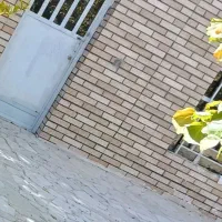 فروش باغ ۲۰۰۰ متری بهمن|فروش زمین و ملک کلنگی|بهمن صغاد, |دیوار