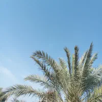 فروش زمین در خیابان 20متری صوفی اباد